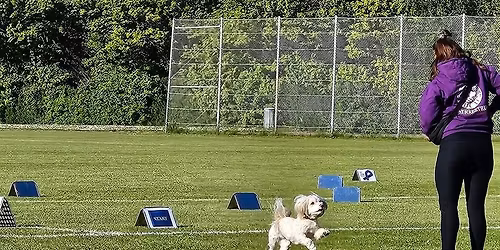 Kom til vores f\u00f8rst Rally st\u00e6vne 