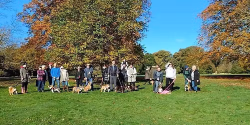 Midlands (Bosworth) Bulldog Walk for GBSR UK