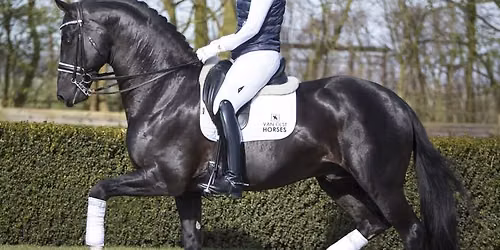 Stallion Semen Handling Course (Part 1 - Lectures - Intermediate\/Advanced - Unlimited attendance)