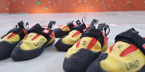 Mini Koala climbing course - Adventure and fun for 6-8 year old kids