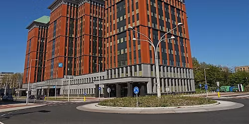 Privacy & DPO Governance Official