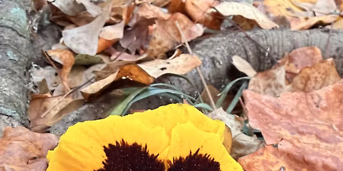 The Good Grief Winter Retreat