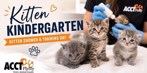 ACCT Philly's Free Kitten Kindergarten Kitten Show & Training 