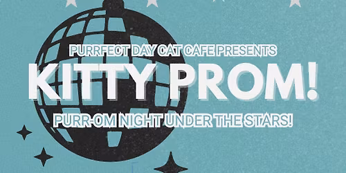 Purr-om Night Under the Stars! (Ages 16+)