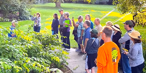 Wednesday Garden Walk - Summer Garden Care