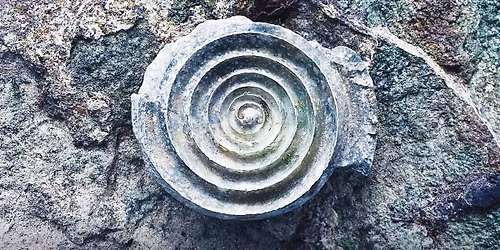 Zenekar Launches "Swirls" with Special Guest Shenzo Gregorio !