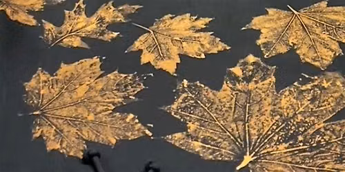 Leaf Print Tote Bag Workshop
