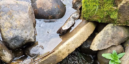 3\/4\/9 \u017eygis abipus Vilnios