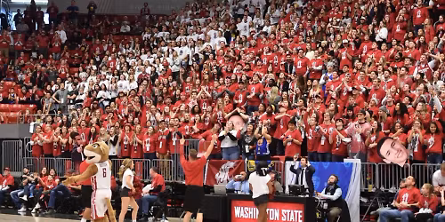 Parking Washington State Cougars at Davidson Wildcats Mens Basketball