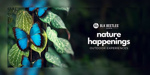 Nature Happenings: A Sight and Sound Community Hike
