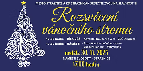 Slavnostn\u00ed rozsv\u011bcen\u00ed v\u00e1no\u010dn\u00edho stromu