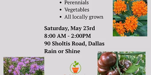 Spring Plant Sale