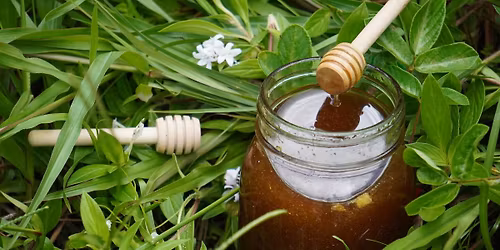 Wildwood's Natural Skincare Lab! \ud83d\udc1d\ud83e\uddd6\u200d\u2640\ufe0f