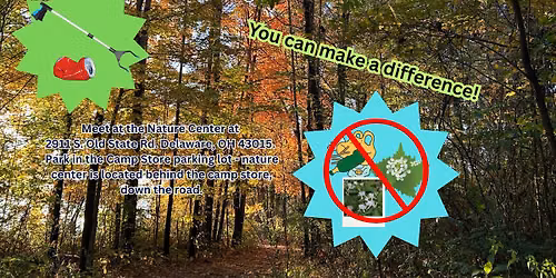 Wildlife Wednesday- Become An Eco Warrior!