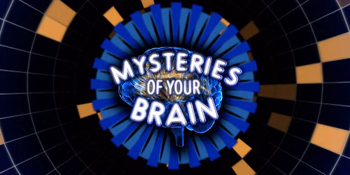 A young persons guide to the night sky and Mysteries of Your Brain