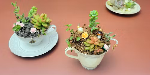 \ud83c\udf3f\u2728 Whimsy in a Teacup: Planting Party \u2728\ud83c\udf3f