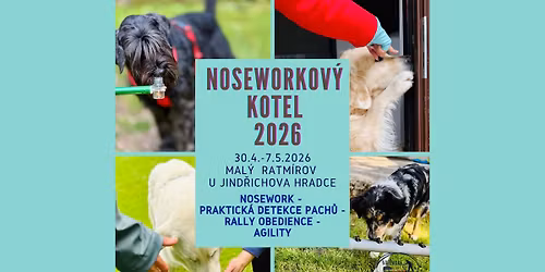 Noseworkov\u00fd kotel 2026