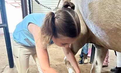 Camp Cadence - Summer Horse Camp Session V