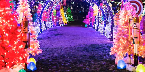 Holiday Lights & Coastal Tour