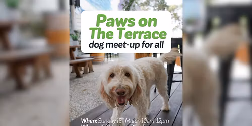 Paws on The Terrace