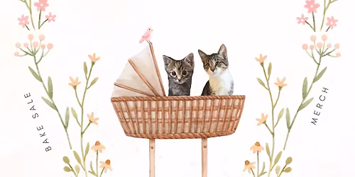 Bundles of Purrs: A Kitten Shower \ud83c\udf7c