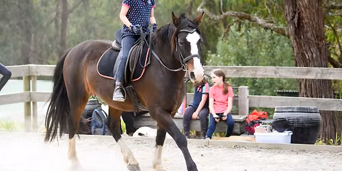 Half Day Fun Day for Non-Horse Owners