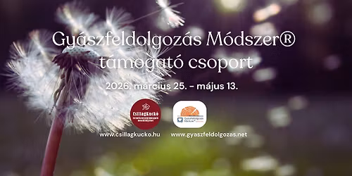 "Pitypang Program" - Gy\u00e1szfeldolgoz\u00e1s M\u00f3dszer\u00ae csoport