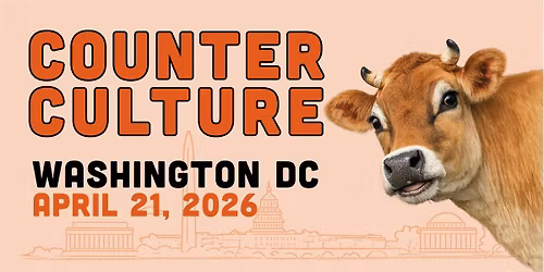 Counter Culture DC