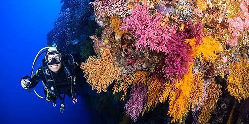 Spirit of Freedom - 7 Night Far North Northbound Expedition