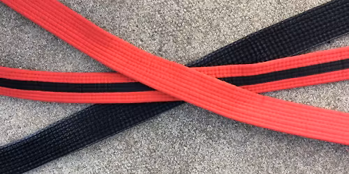 Ellison's pre-dan seminar (nov 2025)