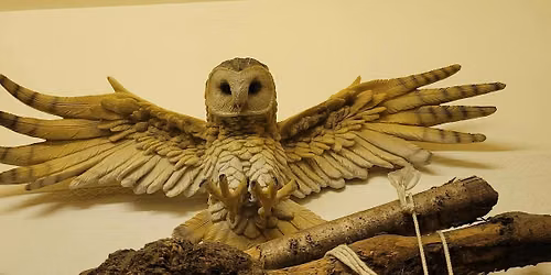 Writing Workshop - Owls