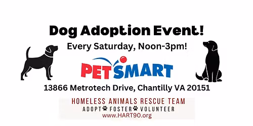 Dog Adoption Event every Saturday!