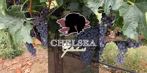 Goldschmidt Vineyards Tasting w\/ Chelsea Goldschmidt