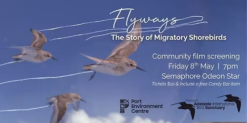 Flyways - The Story of Migratory Shorebirds - Community Film Screening