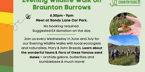 Evening Wildlife Walk on Braunton Burrows
