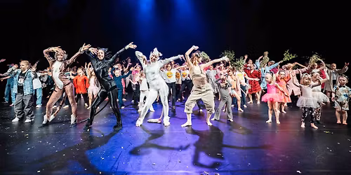 StepUp Schoolin joulun oppilasn\u00e4yt\u00f6kset