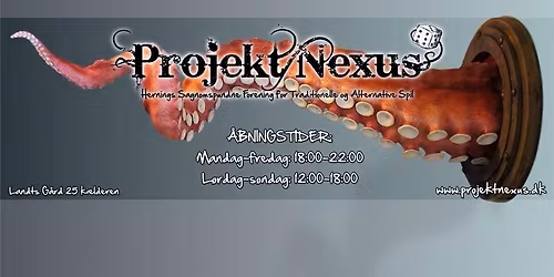 Sommerfest i Projekt Nexus