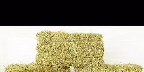 Roseau County Cornhole Tournament 