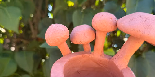 Beginners Pottery: Mushroom Bowl