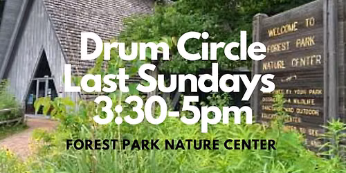 Rhythm is the Forest