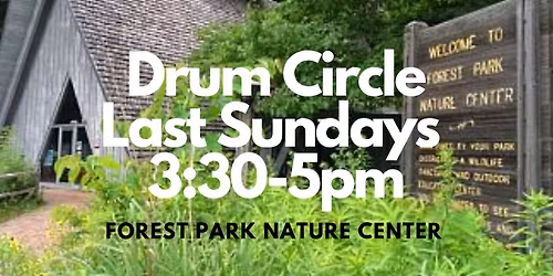 Rhythm is the Forest 