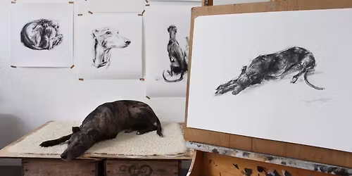 Dog Life Drawing | a 1-day workshop