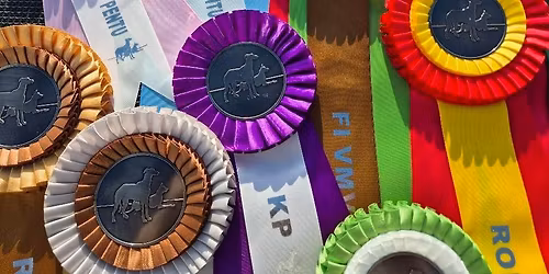 Isojen koirien Match Show