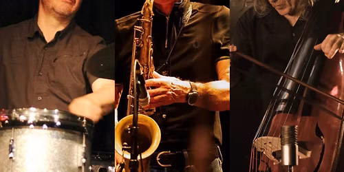 Larry Stabbins \/ Paul Rogers \/ Mark Sanders - The Sarost Trio