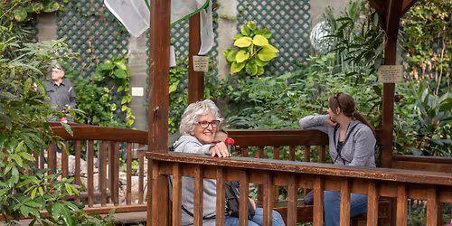 Books and Butterflies