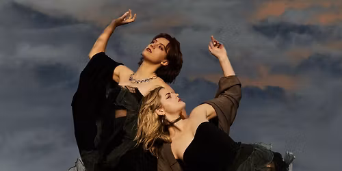 Charm of Finches (Aus)