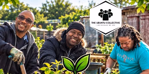 Marsh Hill Allotment Open Day - SEED2KNOWLEDGE launch day