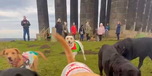 LNE Christmas Annual climb Penshaw Monument