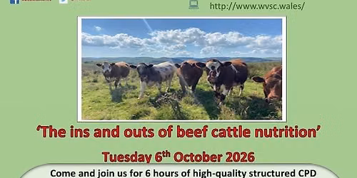 'The Ins and Outs of Beef Cattle Nutrition' - Vet CPD Course