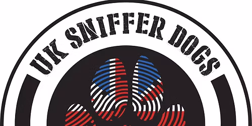 UKSD SCENT DETECTION CLASSES FOR PET DOGS